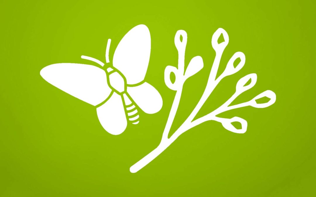 Biologie-Arbeitsgemeinschaft (DNV)