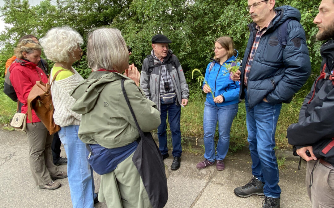 Naturkundlicher Frühlingsspaziergang zum Naturschutzgebiet Hirschacker, 05.05.2024
