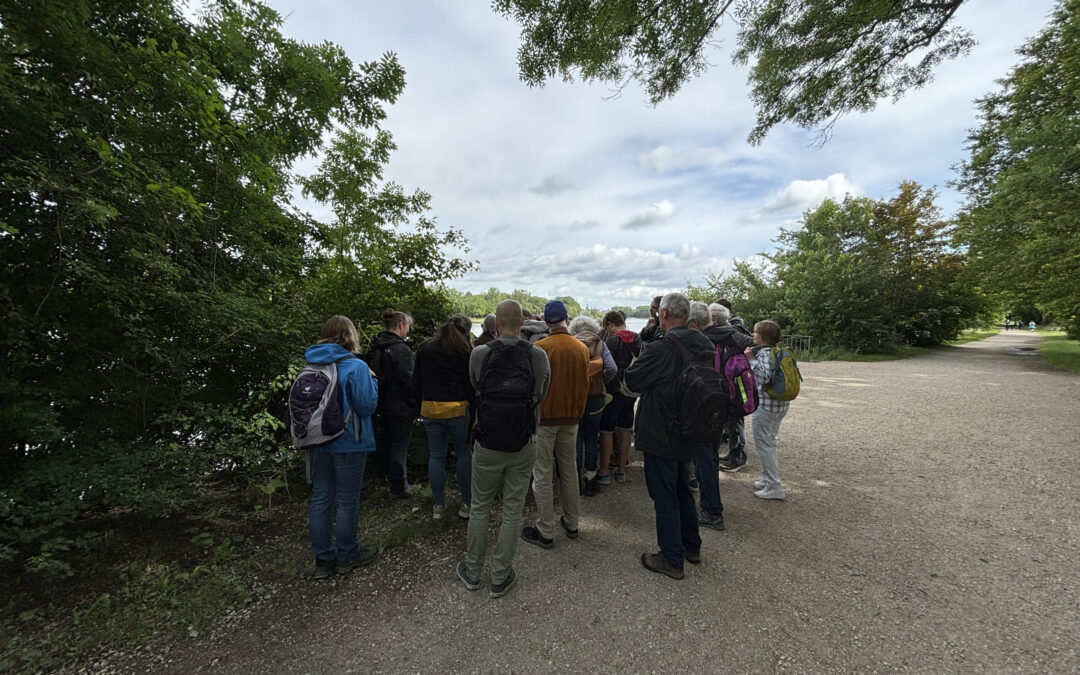 Tag der Artenvielfalt – Naturkundlicher Spaziergang im Waldpark