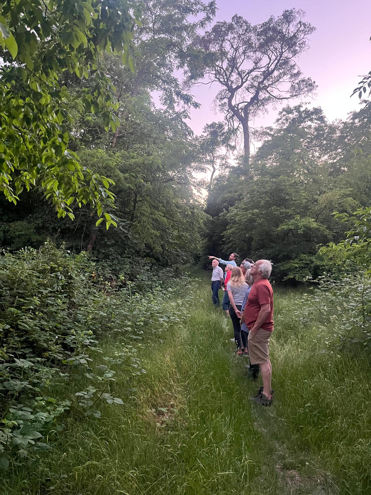 Birding – Vogelbeobachtung im Rheinauer Wald am 26.05.2026