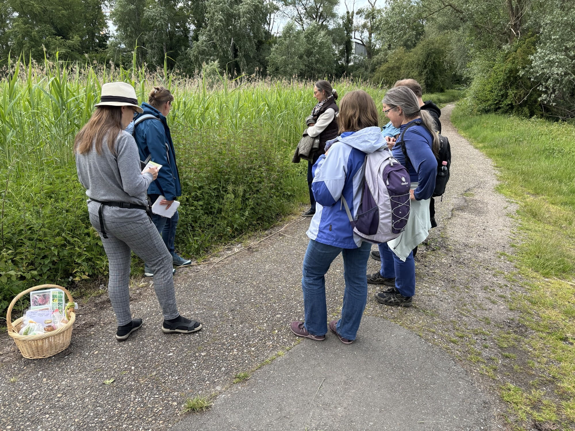 Entdecken, Staunen, Genießen – Wildkräuterspaziergang durch die Riedwiesen Rheinau